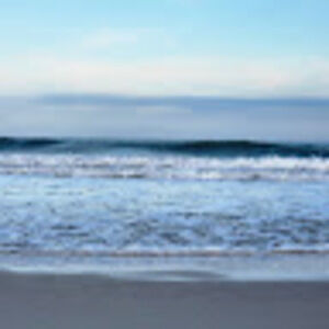 Meet your Posher, Lillian